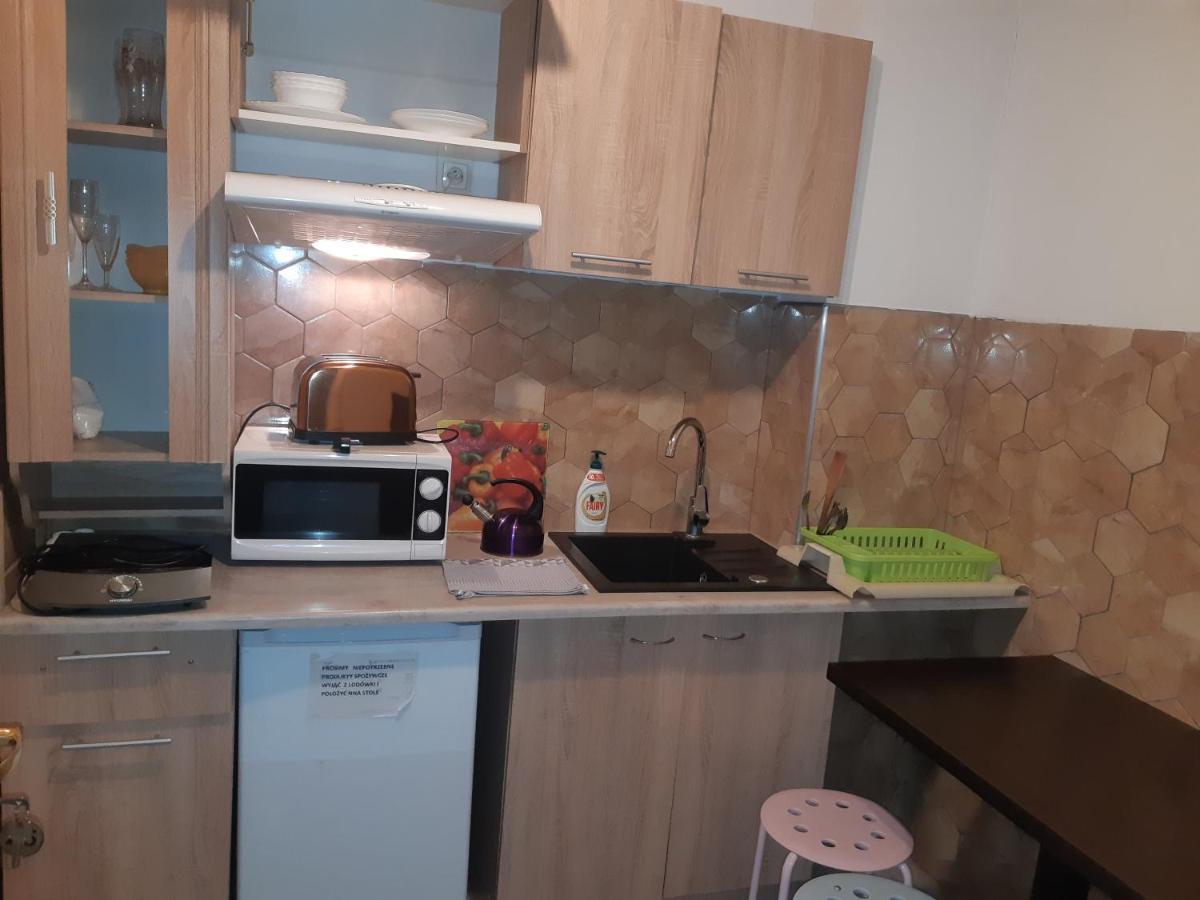 Apartamenty I Pokoje Goscinne Nowita Закопане Екстер'єр фото